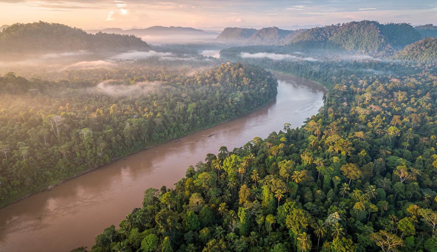 Aerial view of rainforest and a river at dawn in Sarawak, Malaysia